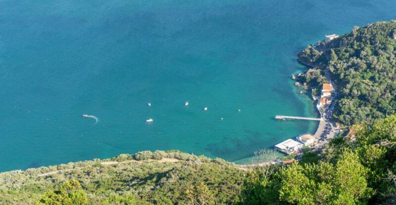 Private Full Day Tour Setubal - Cultural and Natural Significance