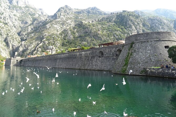 Private Full-Day Tour - Skadar Lake National Park, Saint Stefan and Kotor Tour - Meeting and Pickup