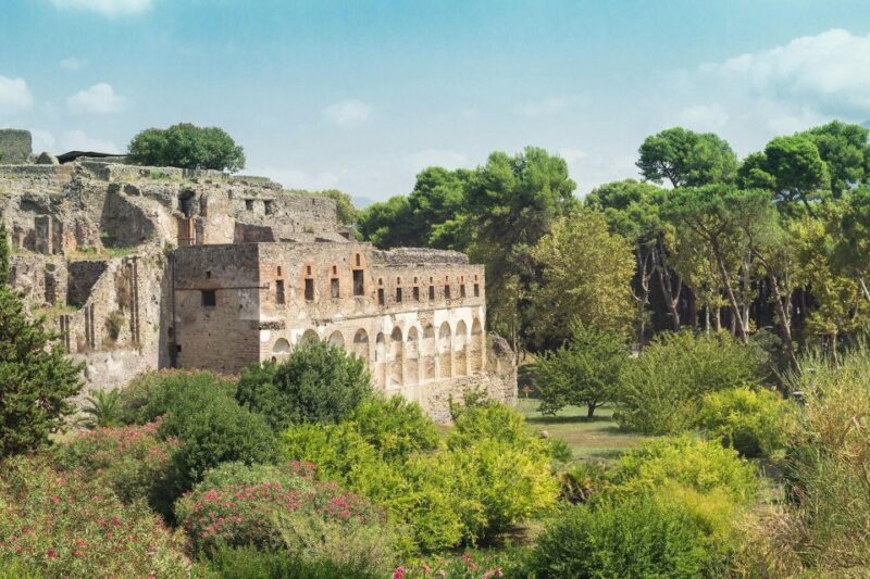 Private Full Day Tour Sorrento Coast and Herculaneum by Van - Accessibility and Additional Information