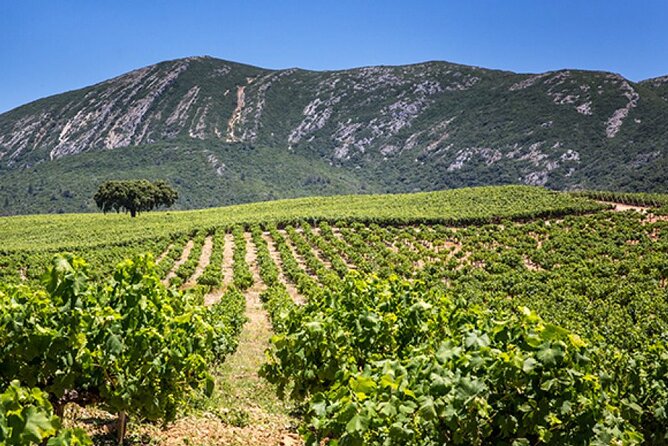 Private Full Day Tour Through Sesimbra and Arrábida - Wine Tasting Opportunities