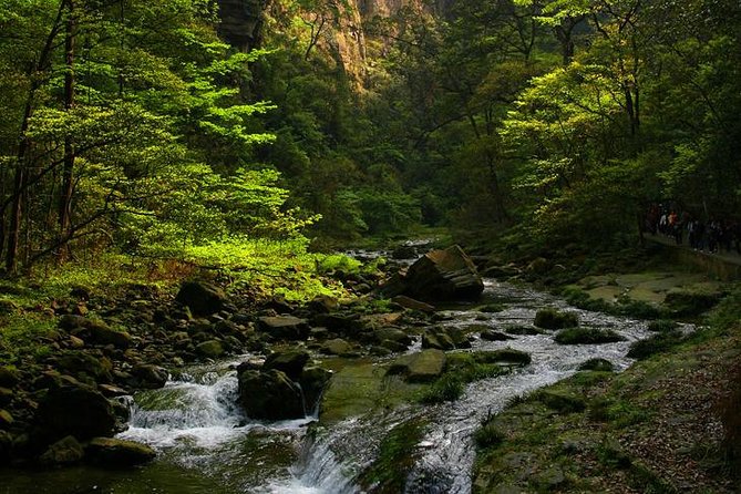 Private Full Day Tour to Avatar Mountain From Zhangjiajie - Booking and Payment