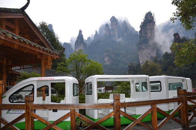 Private Full Day Tour to Avatar Mountain From Zhangjiajie - Experience of the Travelers