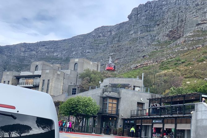Private Full Day Tour To Cape Point, Penguins With Table Mountain. - Penguins and Cape Point
