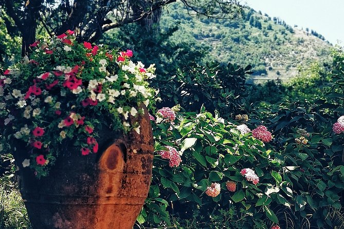 Private Full Day Tour to Capri With Grottos - Inclusions