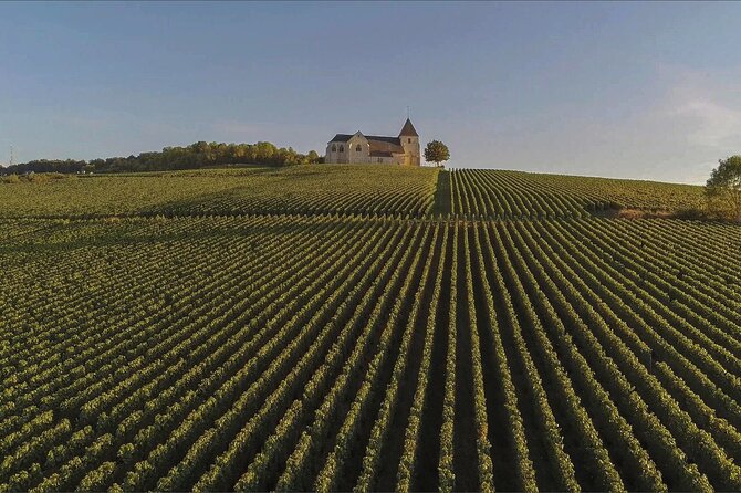 Private Full Day Tour to Champagne From Paris, Visit of 2 Champagne Producers - What to Expect