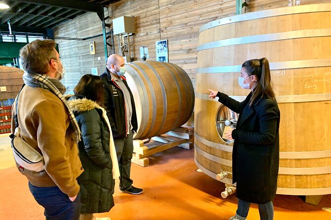 Private Full Day Tour to Champagne From Paris, Visit of 2 Champagne Producers - Exploring Reims Cathedral