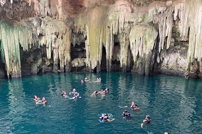 Private Full Day Tour to Chichen Itza and Mayan Sanctuary - Dietary Options