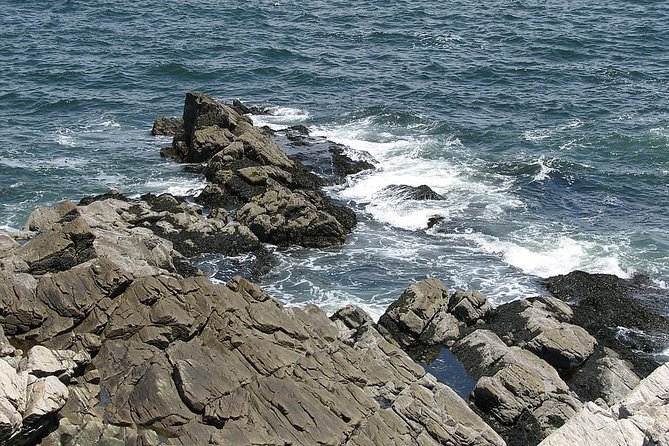 Private Full Day Tour to Coastal Maine From Boston With Hotel Pick-Up - Explore Highlights