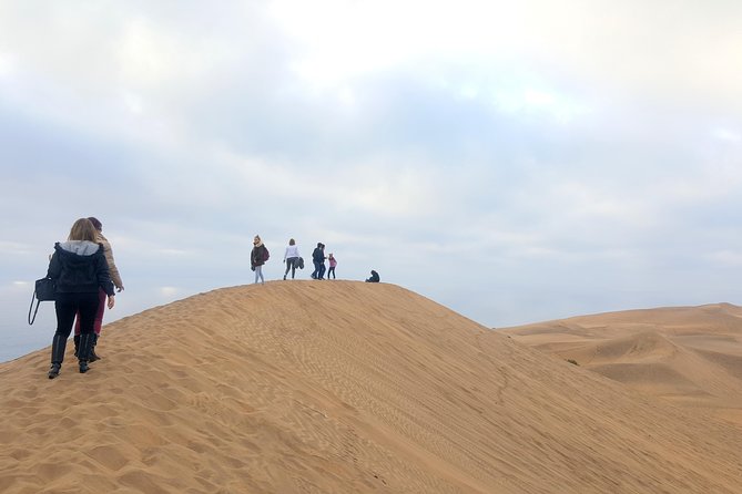 Private Full Day Tour to Concón, Viña Del Mar, and Valparaiso + 1 Activity - Included Experiences
