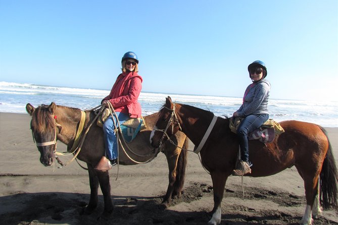 Private Full Day Tour to Concón, Viña Del Mar, and Valparaiso + 1 Activity - Tour Itinerary
