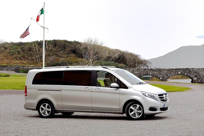 Private Full-Day Tour to Dingle and Slea Head - Dingle Town Exploration