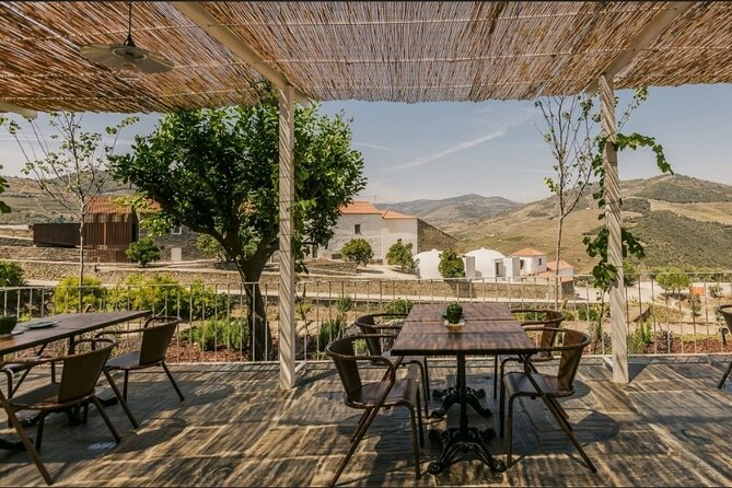 Private Full-Day Tour to Douro Valley - Feedback and Recommendations