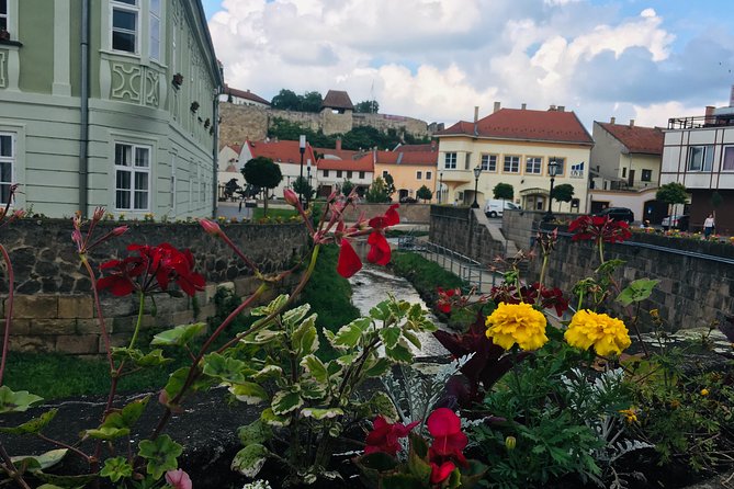 Private Full Day Tour to Eger - History, Culture and Wine - Thermal Resort of Egerszalók