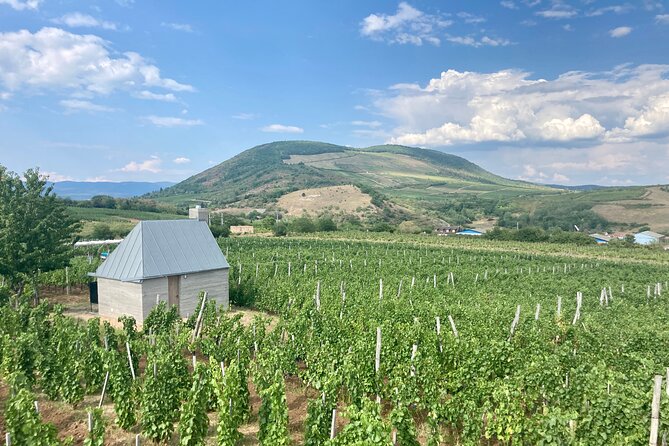 Private Full Day Tour to Eger - History, Culture and Wine - Accessibility and Participation Details