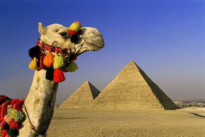 Private Full-Day Tour to Giza Pyramids, Sphinx, Saqqara Pyramids, and Memphis - Group Size and Pricing