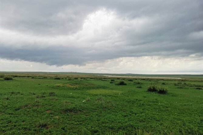 Private Full-Day Tour to Huitengxile Grassland From Hohhot - Recap