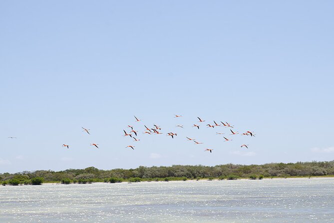 Private Full Day Tour to Laguna De Oviedo - Exploring Laguna De Oviedo