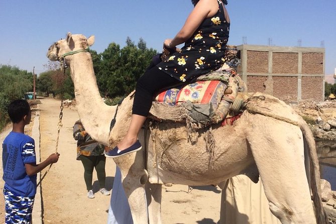 Private Full Day Tour to Luxor From Cairo by Plane,Special Day - Whats Included in the Package