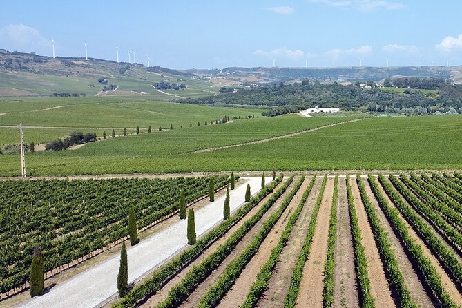 Private Full Day Tour to Mafra, Ericeira and Winery in Portugal - Meeting and Pickup Details