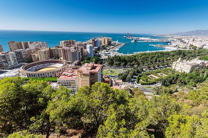 Private Full-Day Tour to Malaga From Seville With Hotel Pick up & Drop off - Exploring Ancient Phoenician Ruins