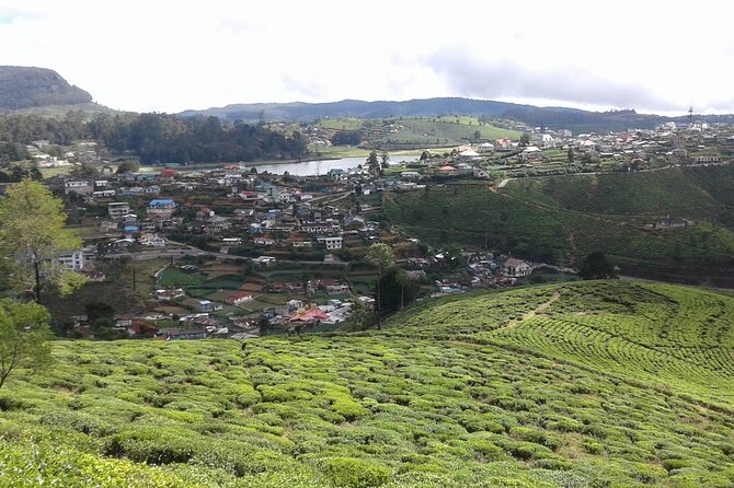 Private Full Day Tour to Nuwara Eliya From Kandy - Transportation and Amenities