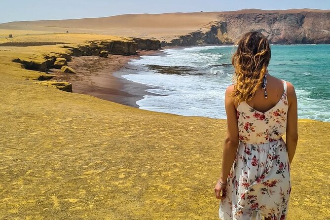 Private Full Day Tour to Paracas, Ica and Huacachina From Lima - Health and Accessibility