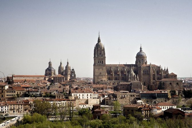 Private Full Day Tour to Salamanca From Madrid With Hotel Pick up and Drop off - University of Salamanca