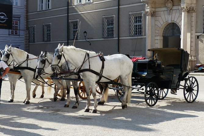 Private Full Day Tour to Salzburg From Vienna With a Local Guide - Pickup and Drop-off Details