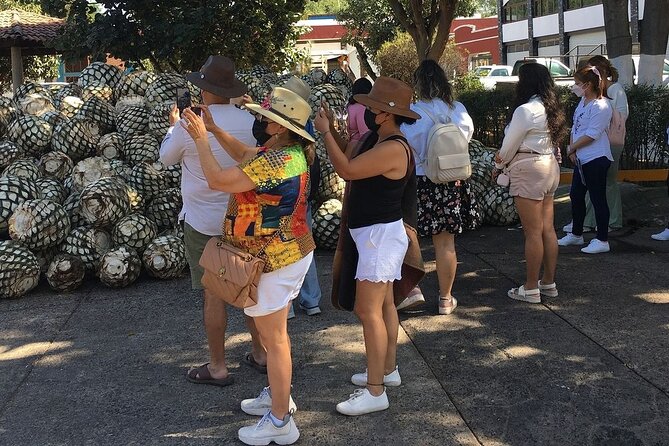Private Full-Day Tour to Tequila Pueblo Magico - Knowledgeable Local Tour Guides