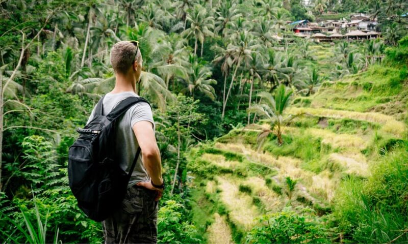 Private Full-Day Tour to the Real Bali Swing and Ubud - Key Points