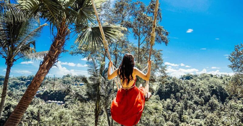 Private Full-Day Tour to the Real Bali Swing and Ubud - Tour Inclusions