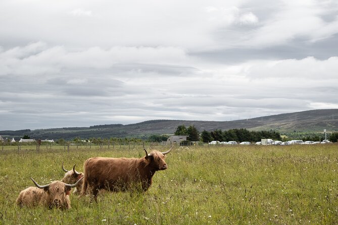 Private Full-Day Tour to the Scottish Highlands and Loch Ness - Tour Experience and Activities