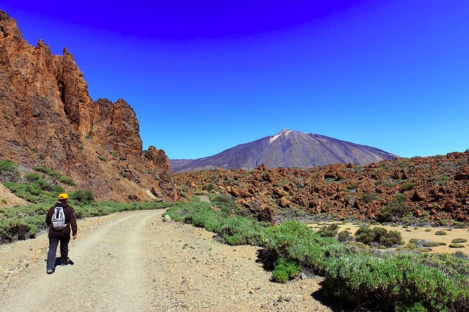 Private Full Day Tour to the Top of the Teide: Go Hiking and Return in Cable Car - Inclusions
