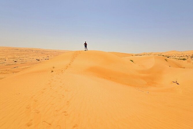 Private Full Day Tour to Wahiba Sands Desert and Wadi Hawer - Schedule and Accessibility