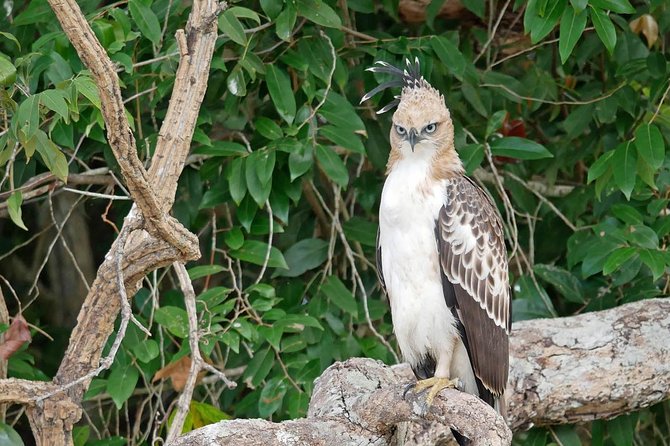 Private Full Day Tour to Wilpattu National Park From Colombo - Operating Hours