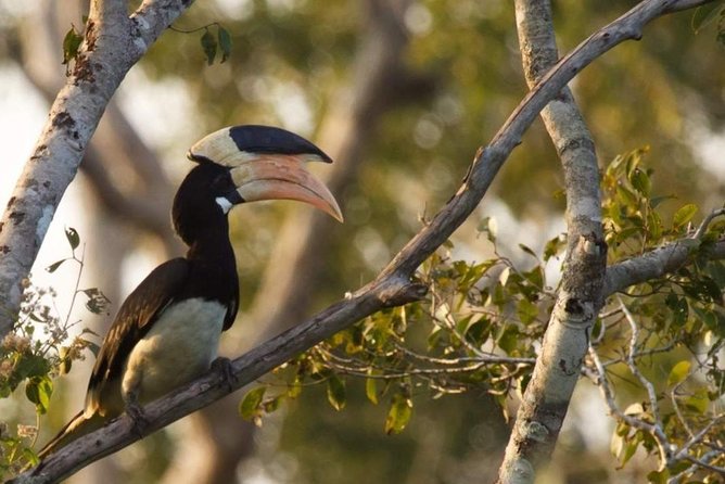Private Full Day Tour to Wilpattu National Park From Colombo - Wildlife Encounters