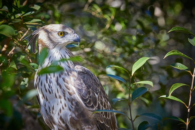 Private Full Day Tour to Wilpattu National Park From Colombo - Highlights of the Safari
