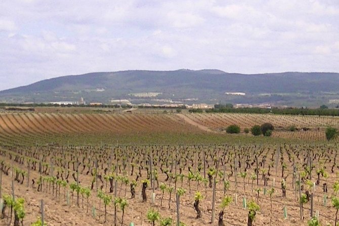 Private Full-Day Tour to Winery- Requena (Booking 2 Weeks Before) - Meeting and Pickup Details