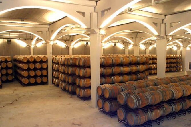 Private Full-Day Tour to Winery- Requena (Booking 2 Weeks Before) - Positive Reviews