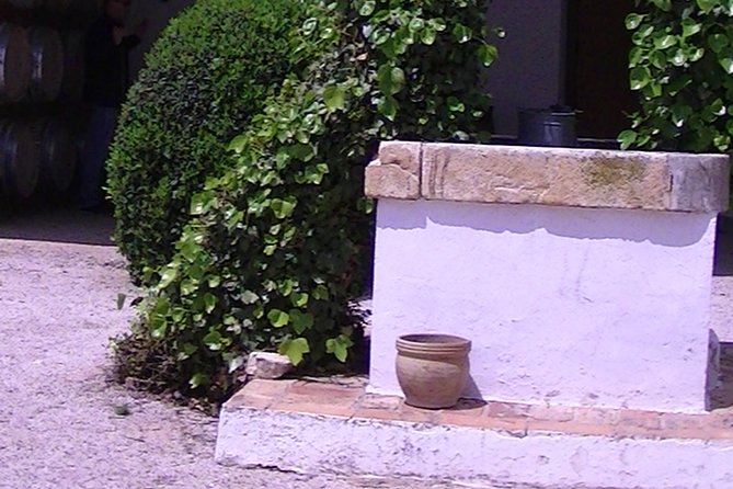 Private Full-Day Tour to Winery- Requena (Booking 2 Weeks Before) - Recap
