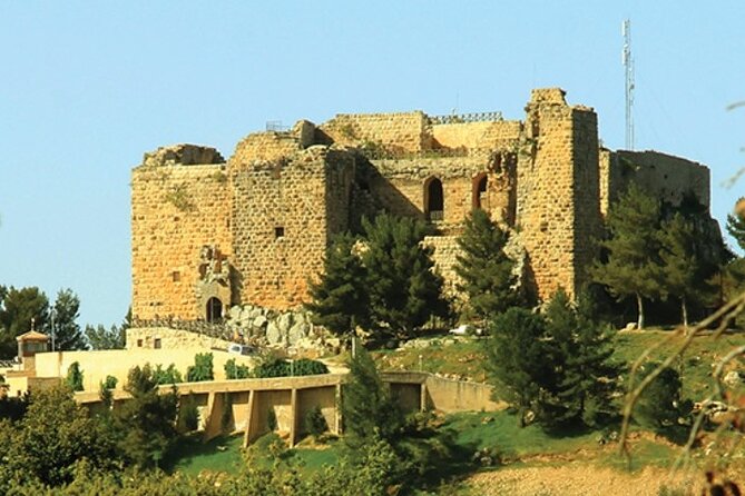 Private Full Day Tour Umm Qais, Ajloun and Jerash - Customer Reviews and Feedback