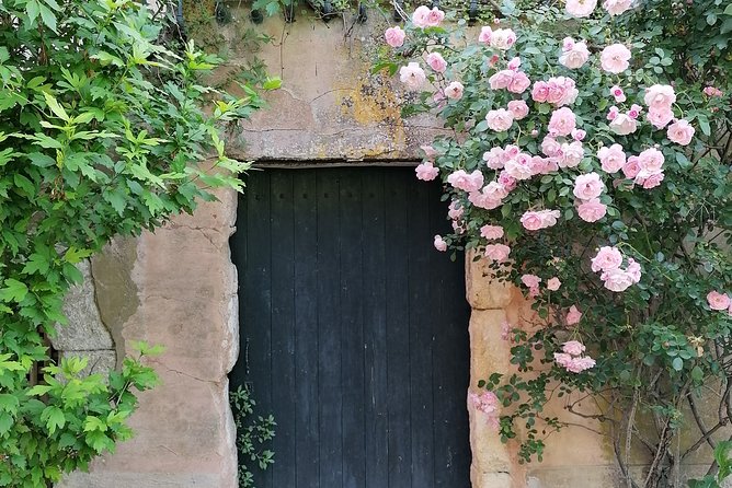 Private Full Day Tour Villages of the Luberon From Avignon - Accessibility and Participation