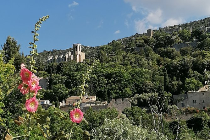 Private Full Day Tour Villages of the Luberon From Avignon - Pricing and Offers