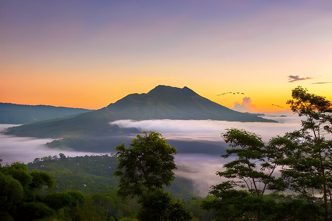 Private Full-Day Tour: Waterfall, Temple, Volcano, Rice Terrace & Monkey Forest - Inclusions