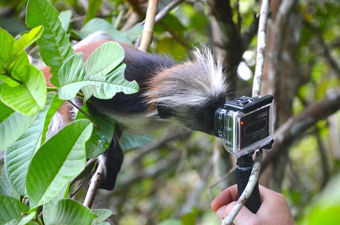 Private Full Day Trip Exploring the Zanzibar Nature - About Your Stay
