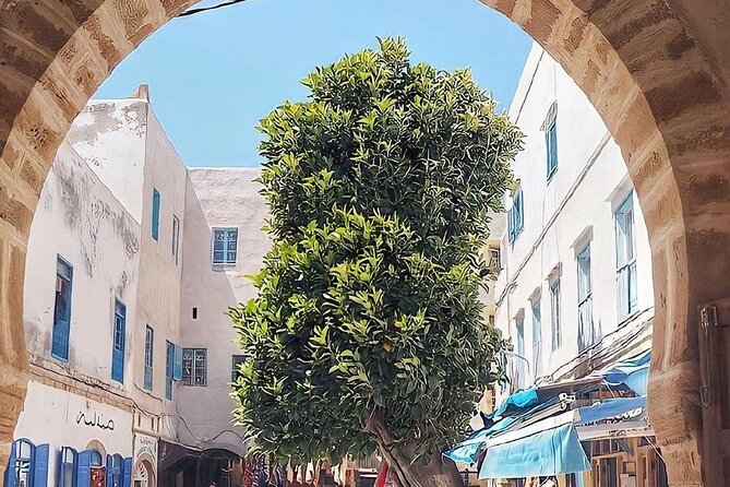 Private Full Day Trip From Marrakech to Essaouira Mogador - Confirmation and Accessibility Details