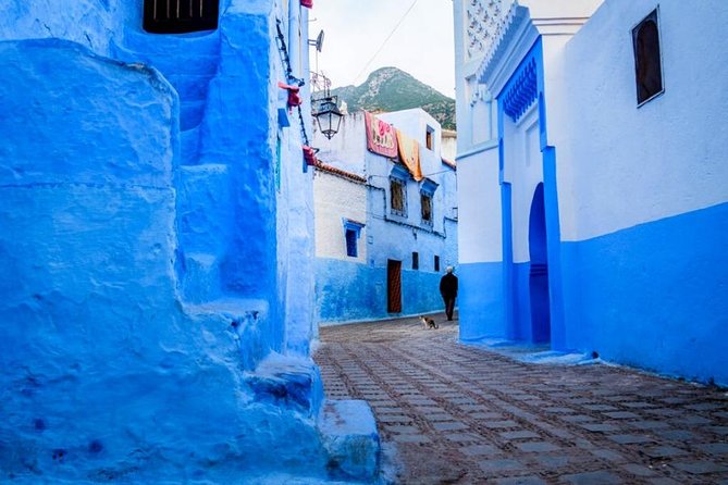 Private Full-Day Trip From Tangier To Chefchaouen - Reviews