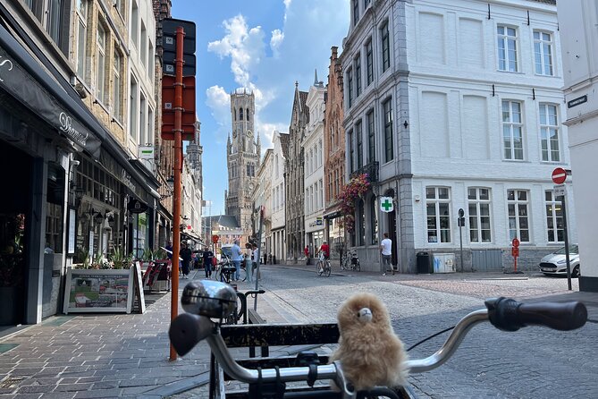 Private Full-Day Trip to Bruges&Ghent From Brussels With Tastings - Ratings and Feedback