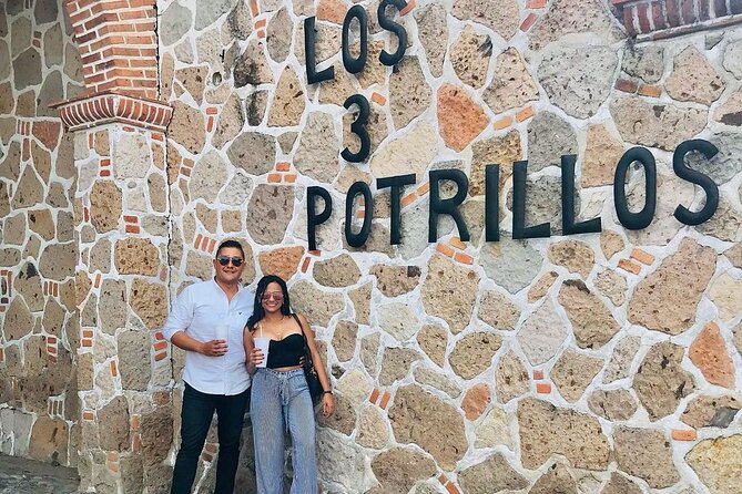 Private Full-Day Trip to Chapala and Ajijic From Guadalajara - Tour Inclusions