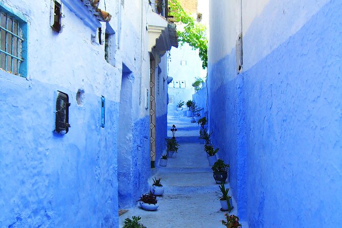 Private Full Day Trip To Chefchaouen From Fez - Overview of the Private Trip